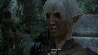 Dragon Age 2 Fenris Romance 12 Bait and Switch [upl. by Hadeis]