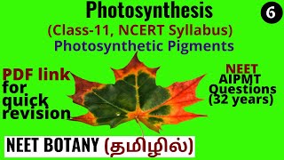 Photosynthetic Pigments How many types of pigments are involved in Photosynthesis NEET Botany [upl. by Mancino]