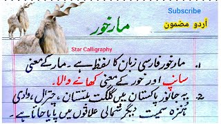 Essay on Markhor  Best Essay on Markhor in Urdu handwriting  Ten Lines Essay on Markhor مارخور [upl. by Bailar355]