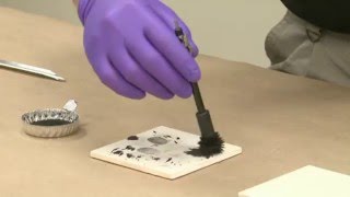 How to Process Latent Fingerprints Using Magnetic Powder [upl. by Yseult]