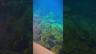 Gran Canaria Clip 4 Clear Water [upl. by Reiniar82]