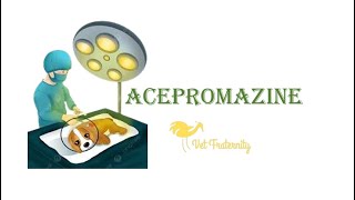 Acepromazine  Phenothiazine  Veterinary Anesthesia Part 7  BCSE subscribe viral trending like [upl. by Roe]