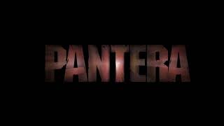 13 Steps To Nowhere Pantera Backing Track With Vocals [upl. by Meredithe]