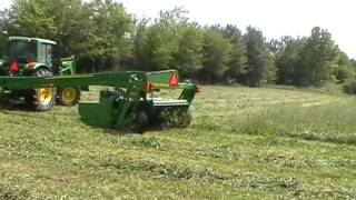 fescue orchard grass hay mowing with 6430 and 830 moco [upl. by Mcnamara]