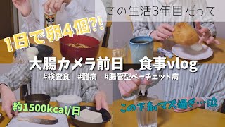 【ベテラン】「明日、大腸内視鏡検査じゃん」って時に役立つ動画【腸管型ベーチェット病】 ibd 大腸カメラ [upl. by Gates]