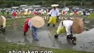 Yuki Saiden RicePlanting Festival Shiga Japan 悠紀斎田 お田植えまつり [upl. by Seaton534]