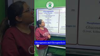 Glycogenesis and glycogenolysis For more details contact on 7814622609 or 8837686765 [upl. by Maire375]