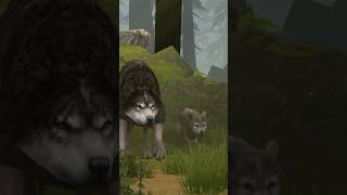 Wolf cartoon videoanimation [upl. by Aicilaf]