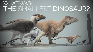 The SMALLEST amp Cutest Dinosaurs on Earth… [upl. by Ahtekahs]