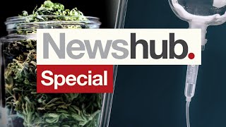 NZs cannabis euthanasia referendum results announced  Newshub [upl. by Terrel]