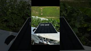 Say goodbye to manual watering A fully automated solar power watering system for potted plants [upl. by Ttej939]