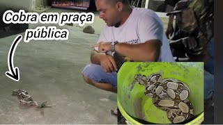 RESGATE DE FAUNA COBRA JIBÓIA EM PRAÇA PÚBLICA [upl. by Diogenes]