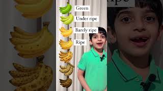 Stages of Ripeness  Learn English With Sharry [upl. by Yrrem]