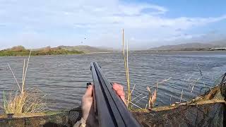 Storm Flight on Wigeon  Kayak was needed  Wildfowling [upl. by Oriaj]