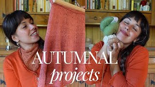 My wild knitting podcast  Ep 36  Autumn projects [upl. by Anik]