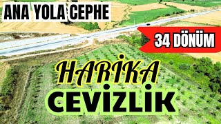 ANA YOLA CEPHE 34 DÖNÜM HARİKA CEVİZLİK [upl. by Ahseyn]