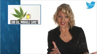 CBD Oil Miracle cure or snake oil [upl. by Wilson]