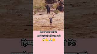 हिम्मत ईतनी रखो कि सामने वाले को पिछे हटना पडे़।whatsapp love whatsappstatus [upl. by Kaitlin]