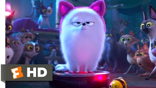 The Secret Life of Pets 2  Cat Lessons Scene 410  Movieclips [upl. by Buehrer]