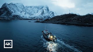 Lofoten Norway  Winter Relaxing Film 4K [upl. by Rowland521]