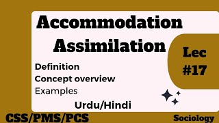 Accommodation and Assimilation  Definition and examples of accommodation and assimilation [upl. by Swetiana]