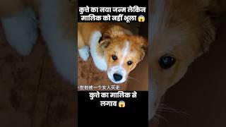 कुत्ते ने नया जन्म लिया लेकिन मालिक को नहीं भुला पाया 😱  short dog movie cartoon [upl. by Ariada]