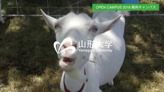 【山形大学】Open Campus 2018 鶴岡キャンパス [upl. by Franciscka]