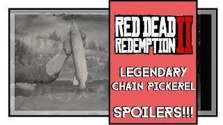 Red Dead Redemption 2 Legendary Chain Pickerel Fish Location SPOILERS [upl. by Aliuqahs]