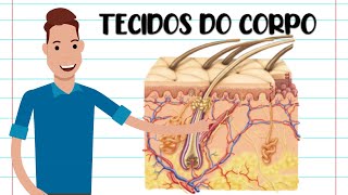 TECIDOS DO CORPO HUMANO  RESUMO [upl. by Zachery]