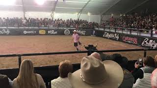 2017 Bull Fighters Only World Finals [upl. by Acinhoj]