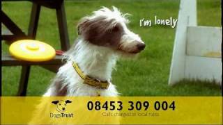 Dogs Trust Ad [upl. by Ebenezer]