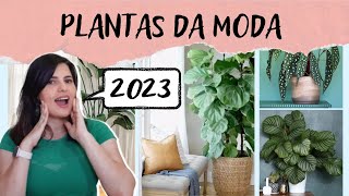 7 PLANTAS DA MODA PARA DECORAR EM 2023  VIROU FEBRE NAS REDES SOCIAIS [upl. by Rogerio748]