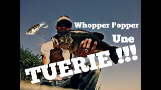 Pêche au Whopper Plopper  Cest du LOURD  Record BlackBass [upl. by Tonry464]