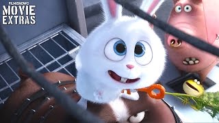 The Secret Life of Pets Clip Compilation 2016 [upl. by Ainoet737]