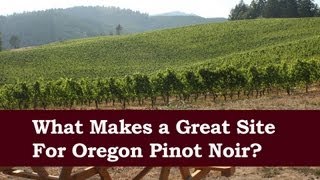 Choosing the Best Site for an Oregon Pinot Noir Vineyard  With Elk Cove Vineyards [upl. by Ogilvie359]