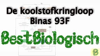 Koolstofkringloop Binas tabel 93F [upl. by Brigham]