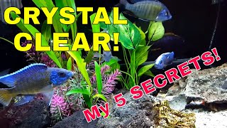 My quotSecretsquot for Crystal Clear Pristine Aquarium Water A quotFish Floating in Airquot Aquarium [upl. by Alwyn]