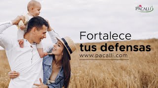 Fortalece tus defensas [upl. by Bullion272]