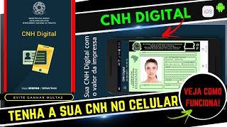 CNH DIGITAL  SUA CNH NO CELULAR 📲😬 [upl. by Bain189]