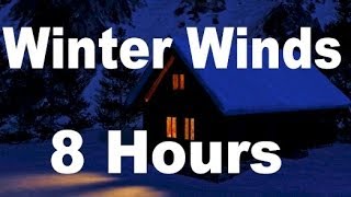 Winter Wind  Relaxing Nature Sounds for Sleep  8 Hours Long [upl. by Lleon]