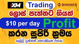 10 ක් දවසට Trade කරලා හොයමු  Binance sinhala  XM trade sinhala for beginners [upl. by Nyloj]