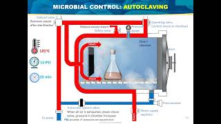 The control of microbial growth Basic Microbiology [upl. by Davy987]