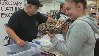 Hundreds gather for quotScale Upquot Reptile Expo in Fond du Lac [upl. by Trixi]