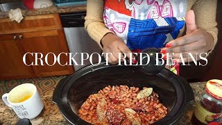 Crockpot Red Beans  Easy Slow Cooker Recipe  STACEY FLOWERS [upl. by Anelah115]