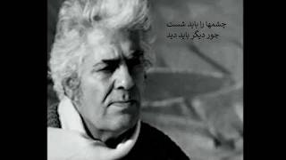 Shamloos opinion about Ferdowsi at UC Berkeley 1990 سخنان بی هویت شاملو در مورد فردوسی گرانقدر [upl. by Aynnek1]