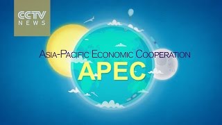 What is APEC [upl. by Shirline]