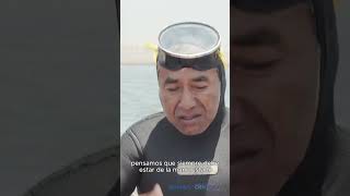 ¿Por qué los biólogos marinos y los pescadores siembran algas en el mar peruano shorts [upl. by Vento943]