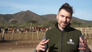 Procampo 1014 Bloque 01 Feedlot La Posta Deán Funes  Córdoba [upl. by Camella]