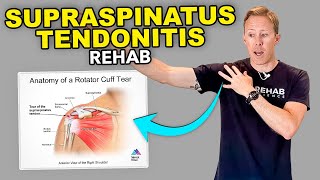 4 Supraspinatus Tendonitis Exercises [upl. by Eylk260]