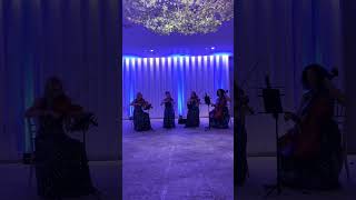 Dynamite  BTS Bridgerton music Halo String quartet corporateevents bridgerton [upl. by Mir]